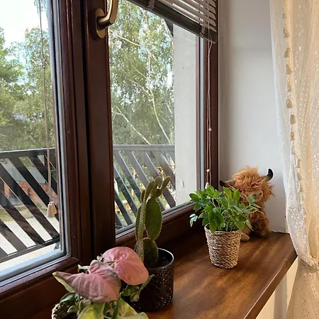 Margo Debno Guest house